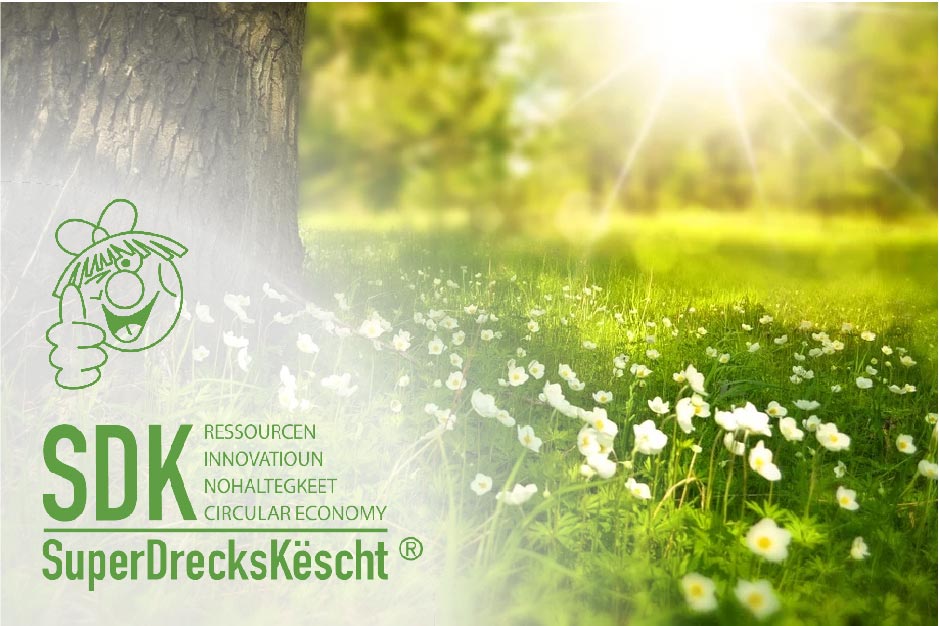 SuperDrecksKëscht logo